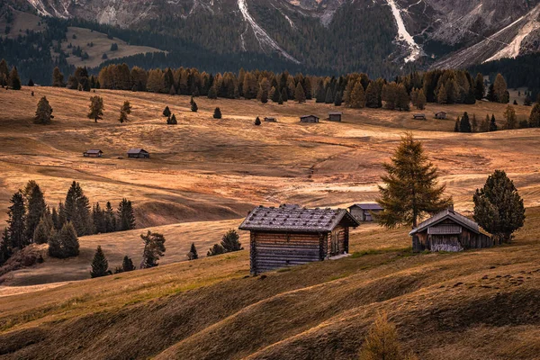 Alpe Siusi イタリア Seiser Almの伝統的な木製シャレー イタリアのドロミテ 南チロルの秋の朝の高山草原 — ストック写真