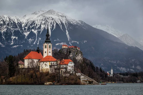 Lake Bled Slovenië Prachtig Uitzicht Het Meer Van Bled Blejsko — Stockfoto