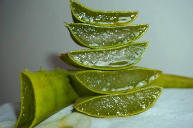 Yakın plan Taze Aloe vera beyaz arka planda dilimlenmiş,