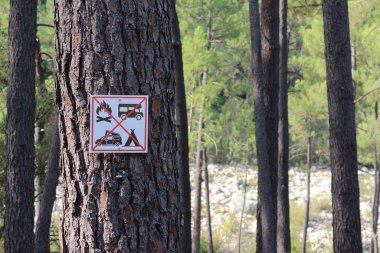 Vahşi Kamp Yasaktır! Ama biz dışarıdayız....
