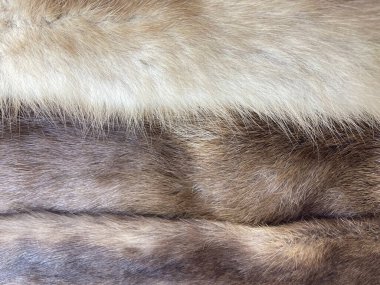 Kürk derilerinin dokusu yakın çekim. Hayvan kürkü..