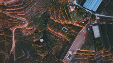 Farm Region Aerial View 4 K Alanya Turkey