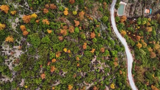 Autumn Forest Aerial Survey Akanya Turkey — Stok video