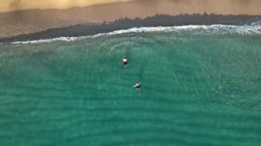 A couple swims in the sea