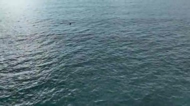 sea filmed on a drone in the sunset