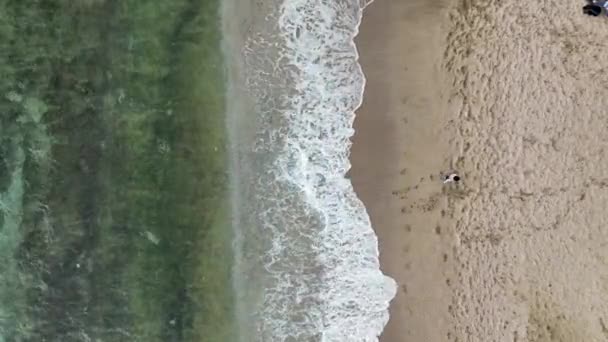 Beautiful Beach Turkey Alanya — 비디오