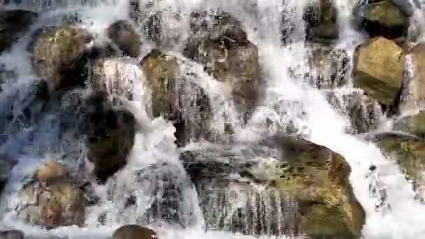 Vattenfall Bergsflod — Stockvideo