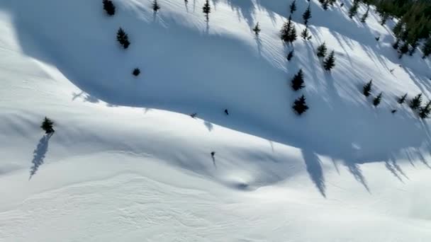 Snowboardzista Zjeżdża Gór — Wideo stockowe