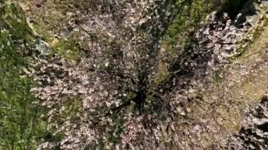 Muhteşem doğa geçmişi Türkiye Alanya