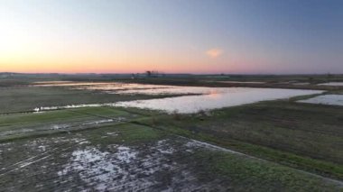 İlkbahar sabahı Tarla Arkaplanı