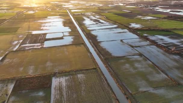 Farm Bakgrund Våren Morgon Tid — Stockvideo