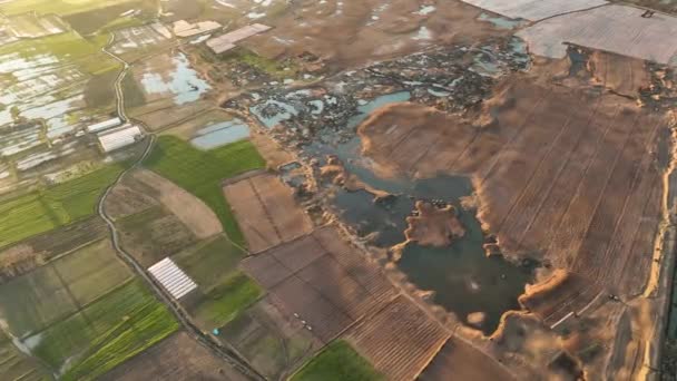 Fundo Fazenda Horário Manhã Primavera — Vídeo de Stock