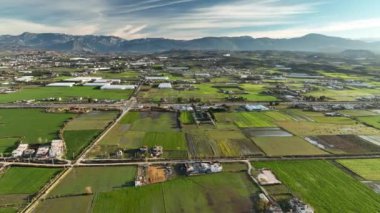 İlkbahar sabahı Tarla Arkaplanı