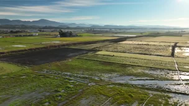 Fundo Fazenda Horário Manhã Primavera — Vídeo de Stock