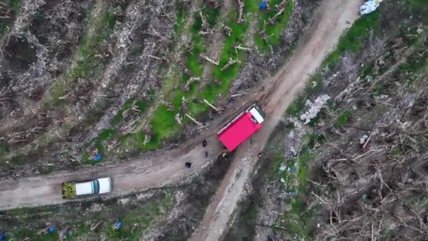 Boerderij Regio Geweldige Achtergrond — Stockvideo