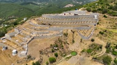 Avokado tarlası manzarası inşa eden çiftçiler