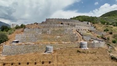 Avokado tarlası manzarası inşa eden çiftçiler