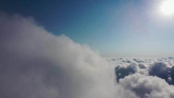 Відчуй Себе Птахом Літає Над Хмарами — стокове відео