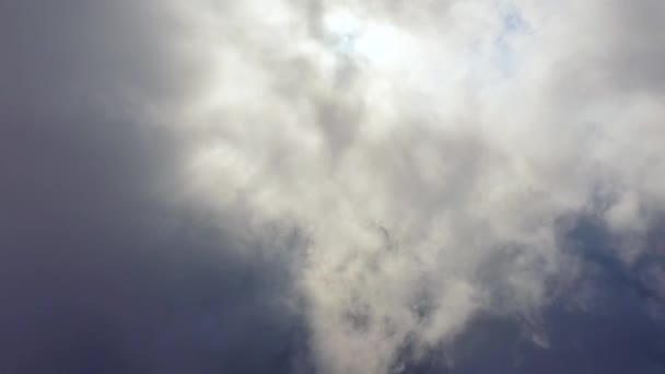 雲の上を飛ぶ鳥のように感じる — ストック動画