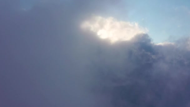 雲の上を飛ぶ鳥のように感じる — ストック動画