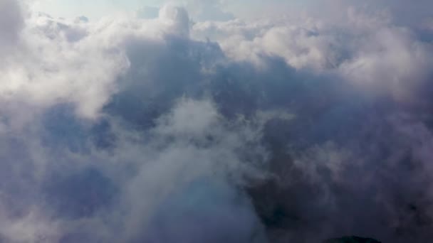 Siente Como Pájaro Volando Sobre Las Nubes — Vídeos de Stock