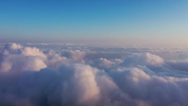 Bulutların Üzerinde Uçan Bir Kuş Gibi Hissediyorum — Stok video