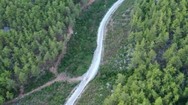 Ormanda bir dron tarafından çekilen gizemli bir iz.