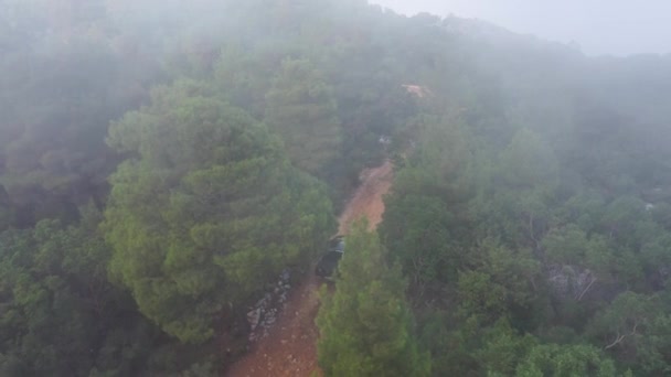 無人機で撮影された森の中の神秘的なトレイル — ストック動画
