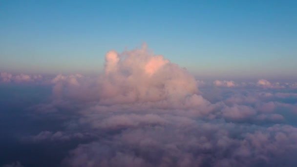 Sinta Como Pássaro Voando Sobre Nuvens — Vídeo de Stock
