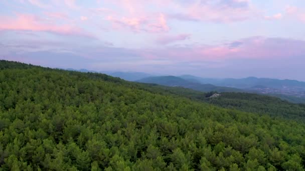 無人機で撮影された森の中の神秘的なトレイル — ストック動画