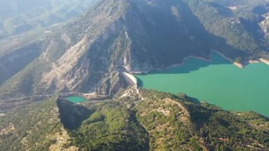 Yeşil bir ormanda İHA ile çekilen yeşil Kanyen