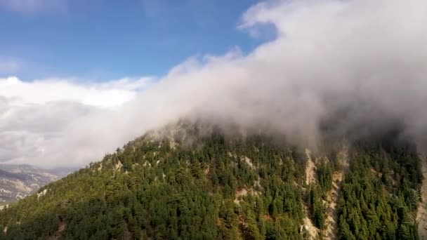 Sinta Como Pássaro Voando Sobre Nuvens — Vídeo de Stock