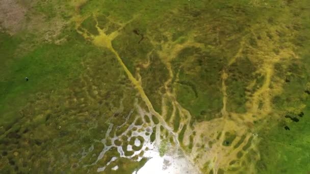 Prado Verde Nas Montanhas Turquia Filmado Drone — Vídeo de Stock