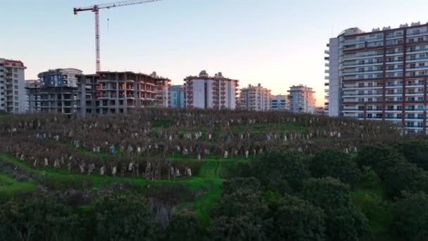 Tramonto Colorato Sulla Città — Video Stock