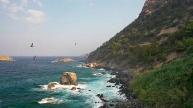 Binlerce kuş küçük bir adanın üzerinde uçar.