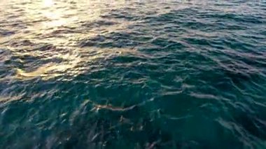 sea filmed on a drone in the sunset