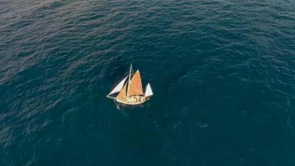 Sailing Yacht Sails Sea — Stok video