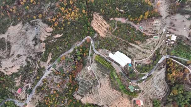 Autumn Forest Aerial Survey Akanya Turkey – Stock-video
