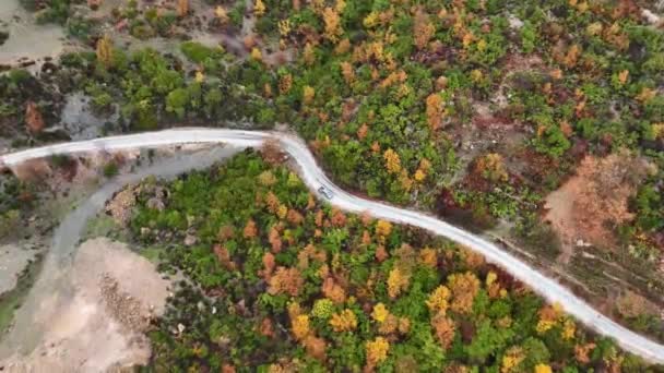 Autumn Forest Aerial Survey Akanya Turkey — Video
