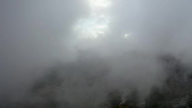 Autumn Forest Aerial Survey Akanya Turkey