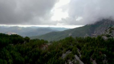 Autumn Forest Aerial Survey Akanya Turkey