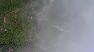 Autumn Forest Aerial Survey Akanya Turkey