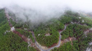 Autumn Forest Aerial Survey Akanya Turkey