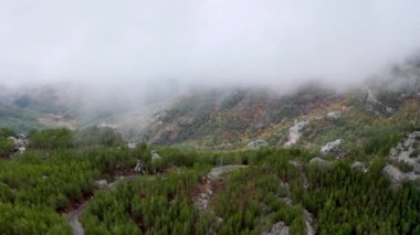 Autumn Forest Aerial Survey Akanya Turkey