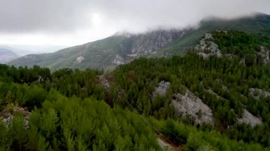 Autumn Forest Aerial Survey Akanya Turkey