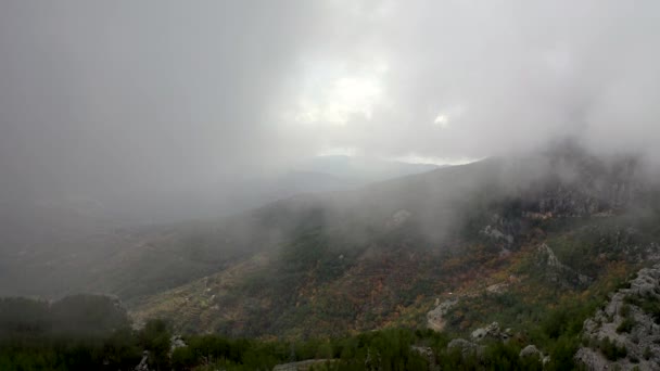 Autumn Forest Aerial Survey Akanya Turkey — 비디오