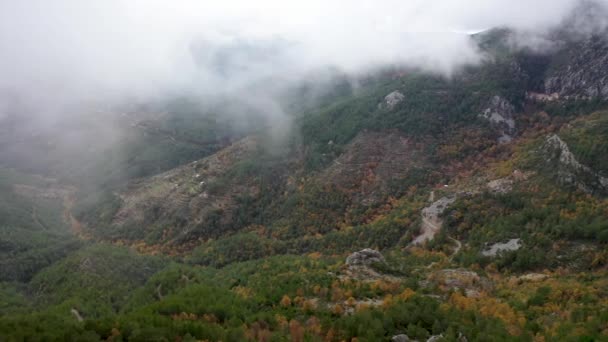 Autumn Forest Aerial Survey Akanya Turkey — стоковое видео