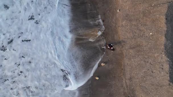 Hombre Busca Oro Después Una Tormenta — Vídeos de Stock