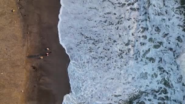 Man Söker Guld Efter Storm — Stockvideo