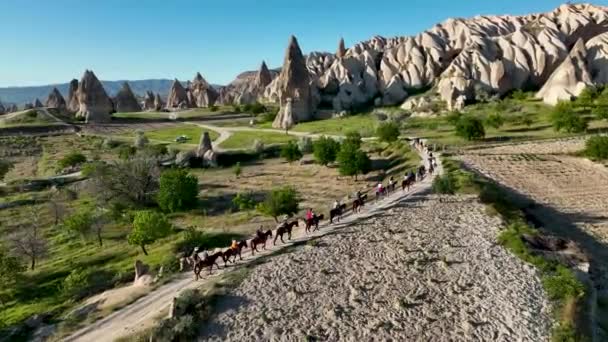 Paseos Caballo Capadocia — Vídeos de Stock